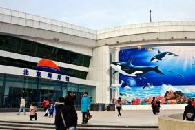 太平洋海底世界和北京海洋馆哪个好玩