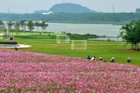 绿岛湖湿地公园好玩吗