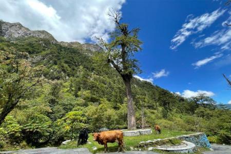 2022燕子沟旅游攻略 - 门票价格 - 最佳旅游时间 - 自驾游攻略 - 简介 - 地址 - 天气