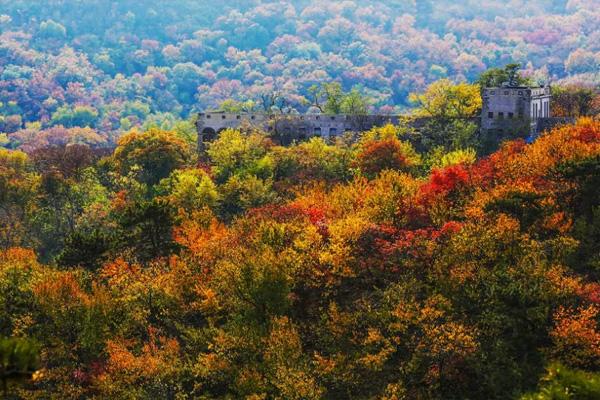 2022西山国家森林公园红叶最佳观赏时间