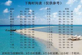 碧海金沙潮汐时间表2023