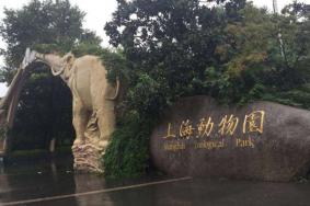 上海动物园门票多少钱