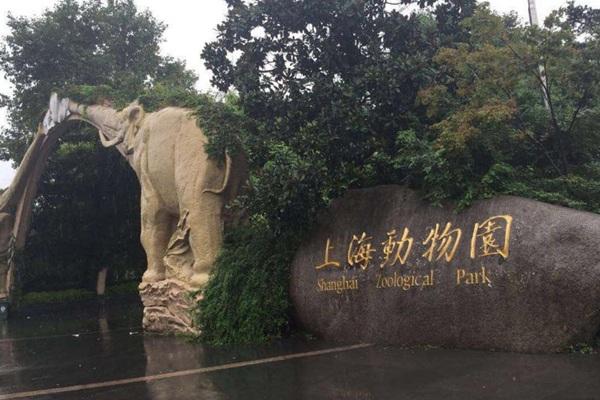 上海動物園門票多少錢