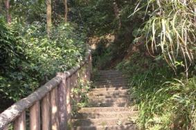 2024歌乐山森林公园收费吗