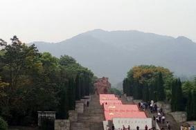2022歌乐山森林公园开放了吗
