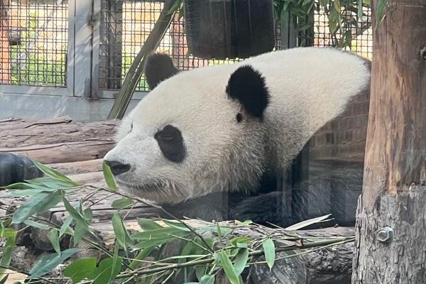 北京动物园门票多少钱一张2024