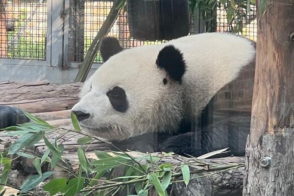 北京動物園游玩攻略2024