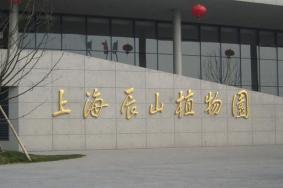2023上海辰山植物園游玩攻略 - 門票價格 - 開放時間 - 景點介紹 - 游玩路線 - 一日游 - 地址 - 交通 - 天氣