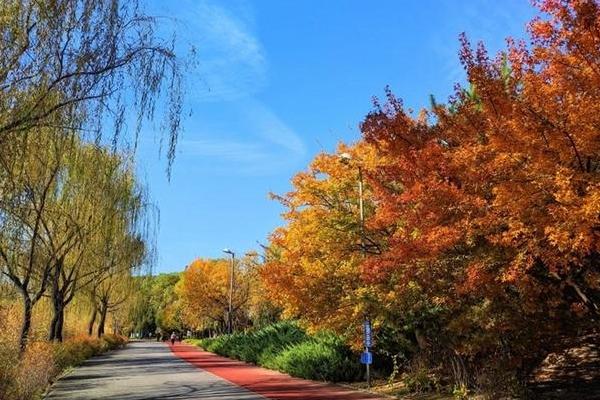 北京秋天適合去的公園有哪些