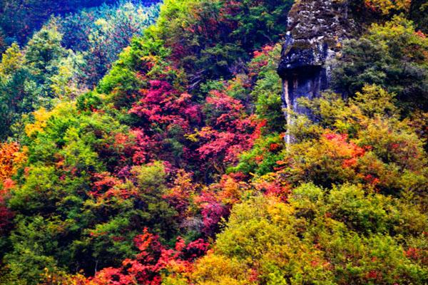 西安周邊看紅葉的地方哪里最好