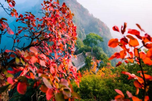 西安周邊看紅葉的地方哪里最好