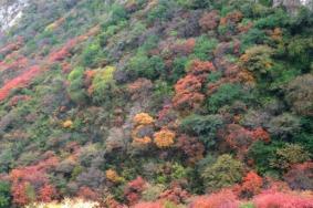 太原崛围山风景区游玩攻略-门票价格-景点信息