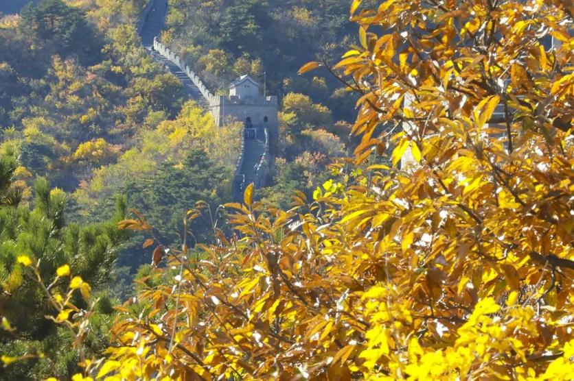 2022年十月秋季黄花城水长城怎么玩?这份多彩秋日旅游攻略可以看看