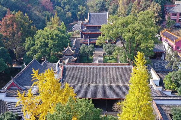 岳麓山楓葉最佳觀賞期及地點推薦