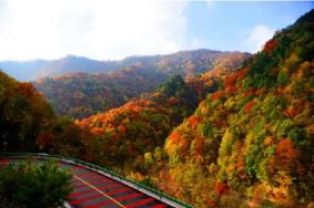 黄柏塬原生态风景区开园公告