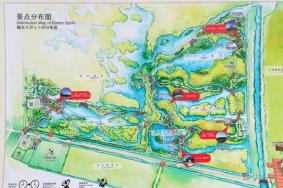 2023东滩湿地公园游玩攻略 - 门票价格 - 开放时间 - 景点介绍 - 电话 - 地址 - 交通 - 天气