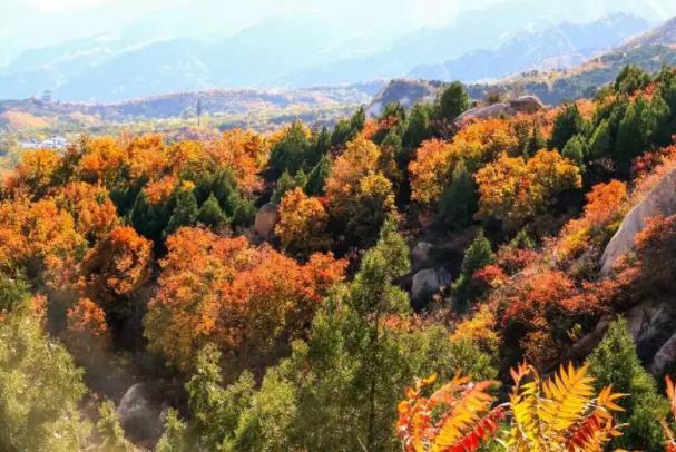 北京鳳凰嶺秋天最佳觀賞地點