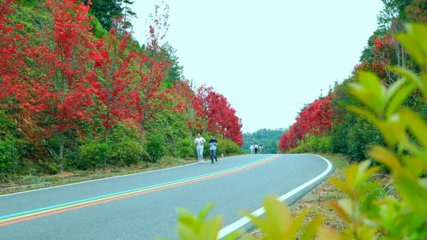 2022年秋季三百山自驾游攻略 在最美彩虹公路上邂逅绝色秋景