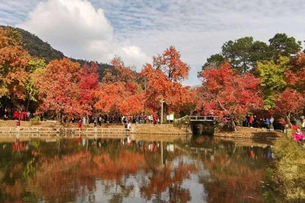 天平山红枫节园林卡可以用吗