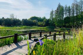 2022上海植物园免费门票政策