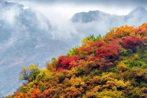 安徽秋天红叶最美的地方