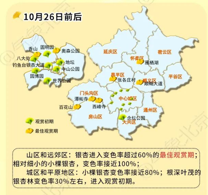 2022北京银杏没有雅赏期预报图