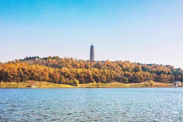 南京平山森林公園游玩攻略-門票價格-景點信息