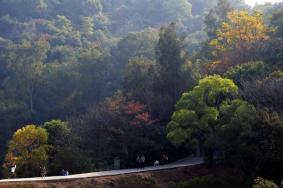 2023广州白云山景区门票免费吗