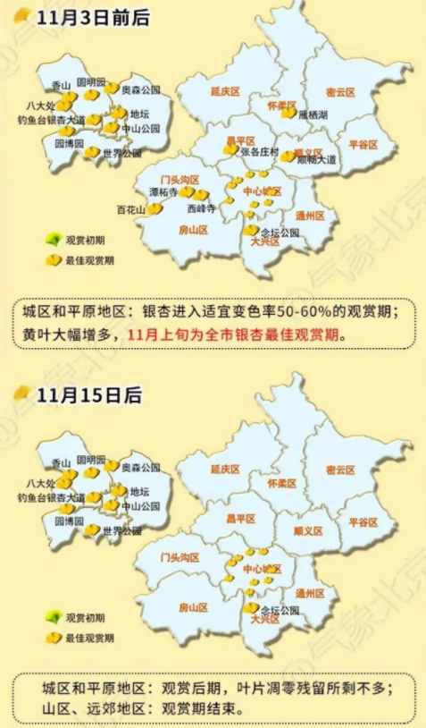 2022北京银杏观赏地全攻略