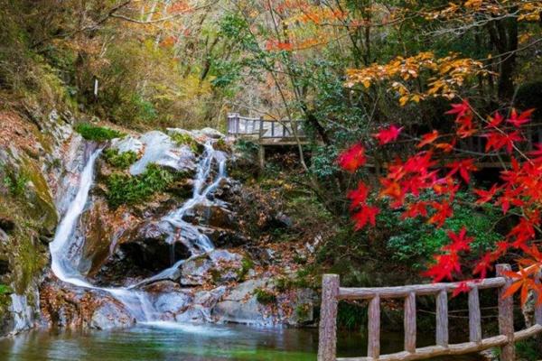 英山桃花冲风景区好玩吗