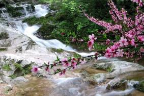 英山桃花冲风景区景点介绍