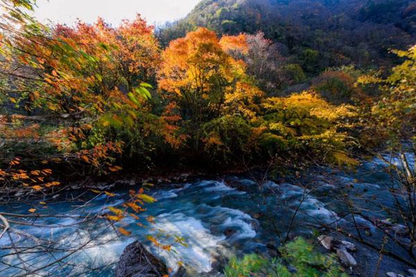 四川看红叶哪些地方最美 十大看红叶最好的地方