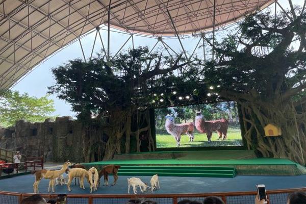 2023杭州野生動物世界一日游攻略