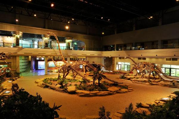 2024自贡恐龙博物馆门票多少钱一张