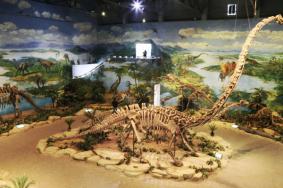 自贡恐龙博物馆在哪里 附具体位置