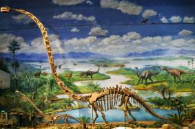 自贡恐龙博物馆有几个展馆