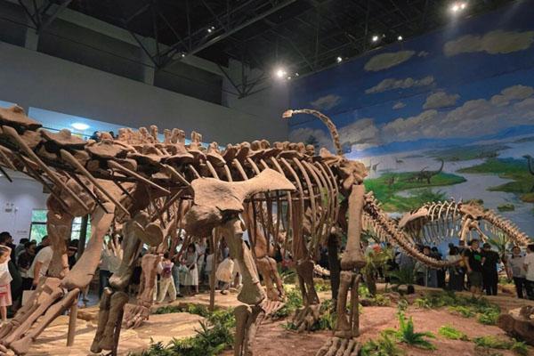 自贡恐龙博物馆有哪些恐龙