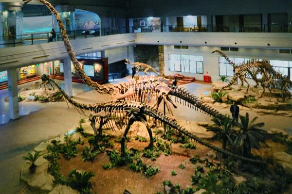 2023自贡恐龙博物馆游玩攻略 - 门票价格 - 景区介绍 - 开放时间 - 展品介绍 - 简介 - 交通 - 地址 - 电话 - 天气