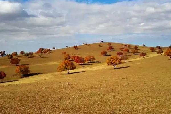 秋季内受古那里好玩 那里风景最好