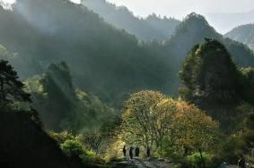 2022武当山风景区开放了吗