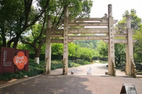 杭州超山风景区需要预约吗