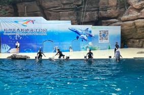 2023杭州长乔极地海洋公园门票多少钱一张