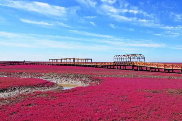 2022盘锦红海滩最佳观赏时间是几月 盘锦红海滩一日游攻略