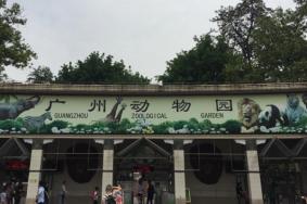 广州动物园停车场收费标准