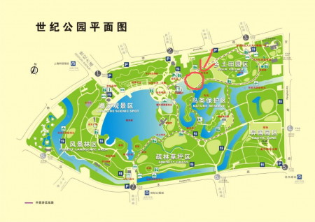 2024上海世纪公园游玩攻略-门票价格-景点信息