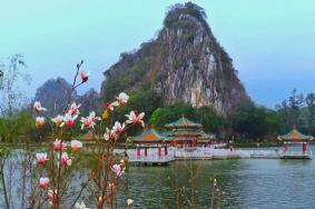 肇庆旅游景点七星岩门票多少钱2022