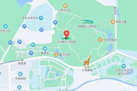 深圳野生动物园地址在哪里?怎么去?