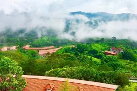 梅州雁南飞景区要门票吗