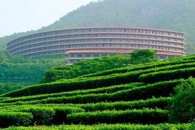 梅县雁南飞茶田景区门票多少钱2022