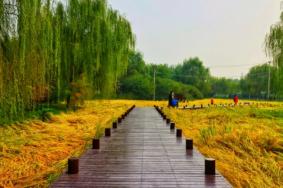 北京郊野公園秋景最好的地方有哪些